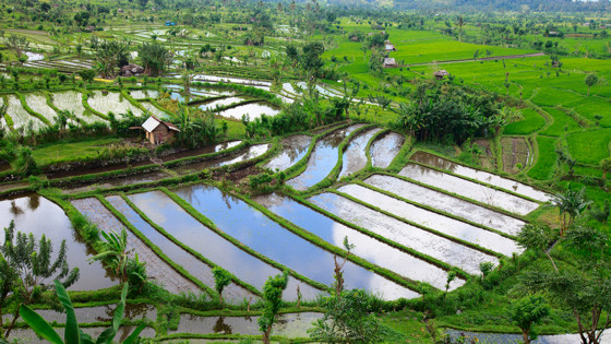 Landskapsbild Indonesier. Foto: RKH