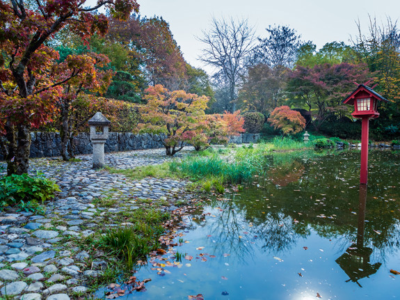 Trädgård i Japan. Foto: Mostphotos