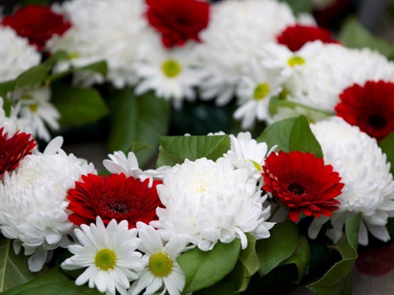Bild av röda och vita blommor.