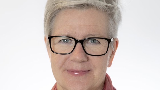 Katarina Tiväng, Stabschef Svensk Röda Korset, adjungerad ledamot
