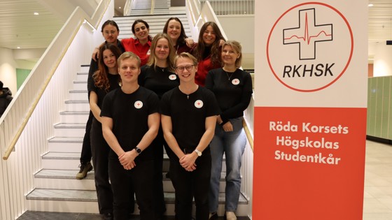 Medlemmarna i studentkåren RKHSK. Foto: RKH