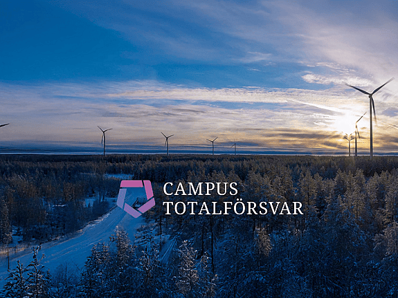 Bild på skogslandskap och himlen. Foto: Campus totalförsvar